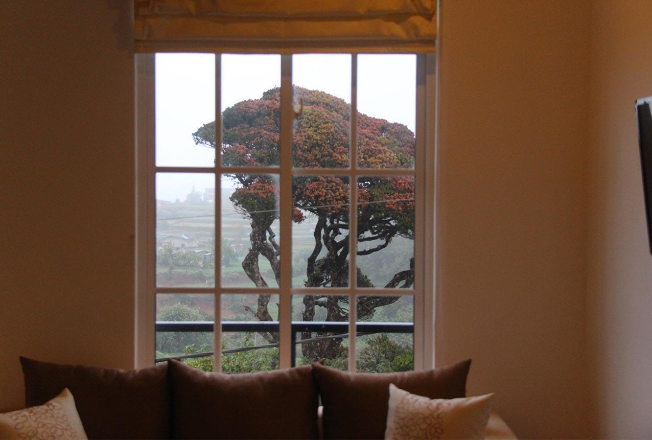 Tranquil Villa Nuwara Eliya Ngoại thất bức ảnh